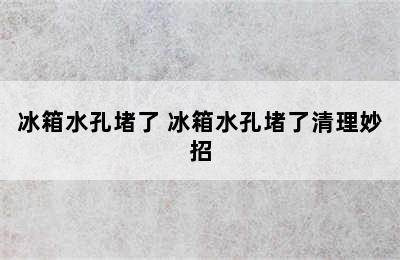 冰箱水孔堵了 冰箱水孔堵了清理妙招